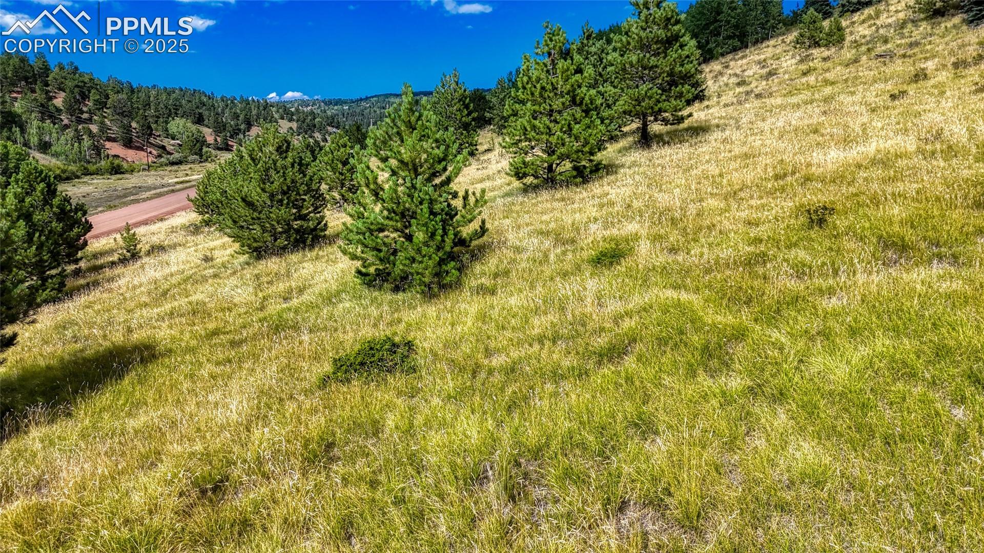 Photo 21 of 972 Anges Drive, Cripple Creek