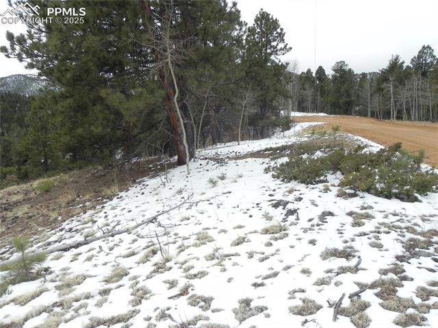 Photo 8 of 153 Idlewild Drive, Cripple Creek