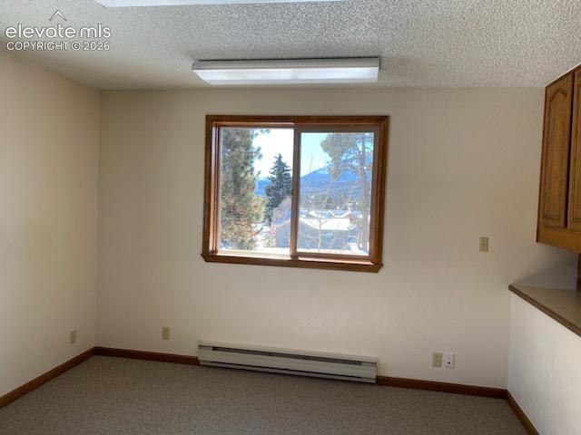 Photo 17 of 250 N Center Street, Woodland Park