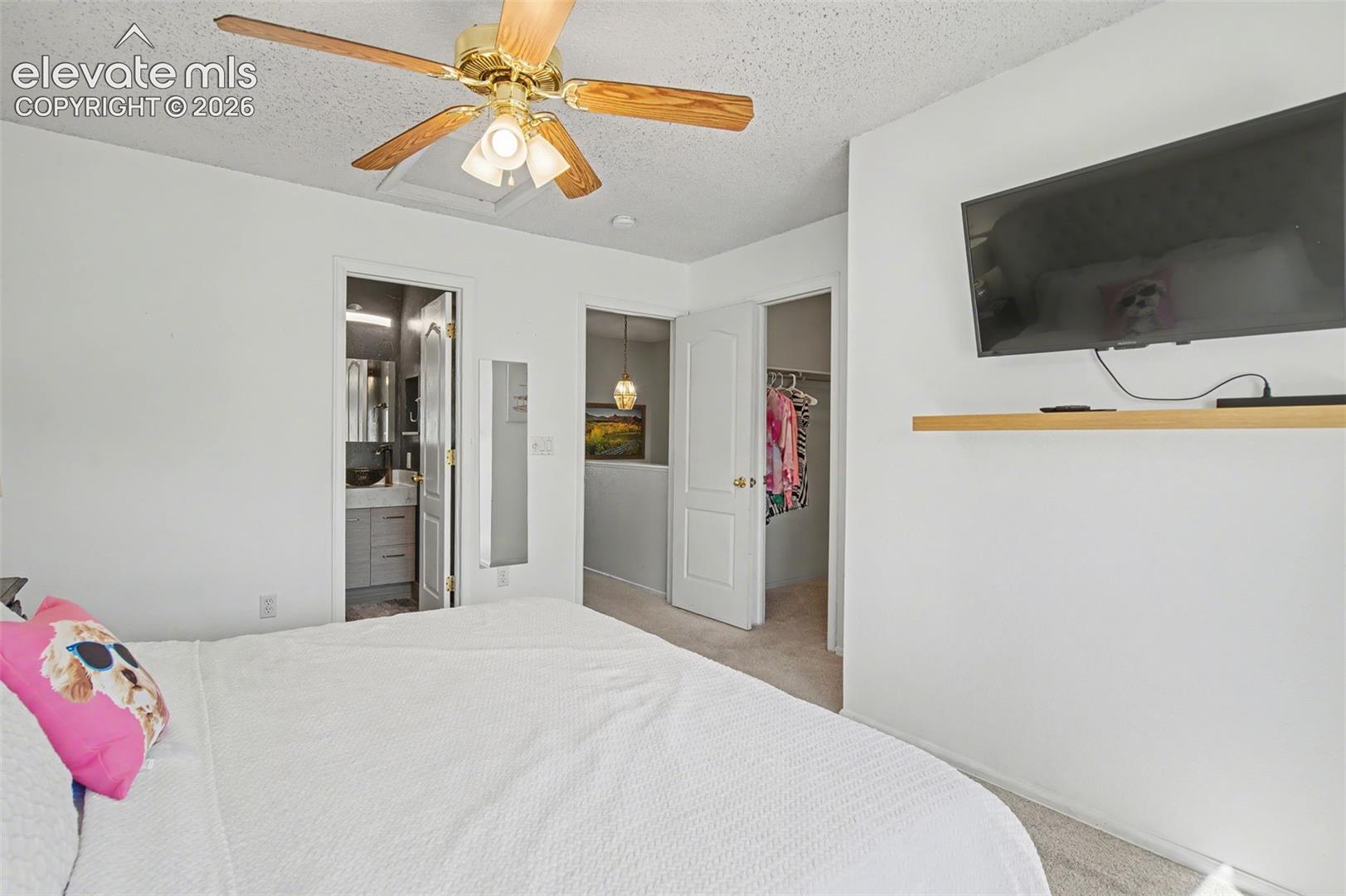 Photo 16 of 748 Caribbean Point, Colorado Springs