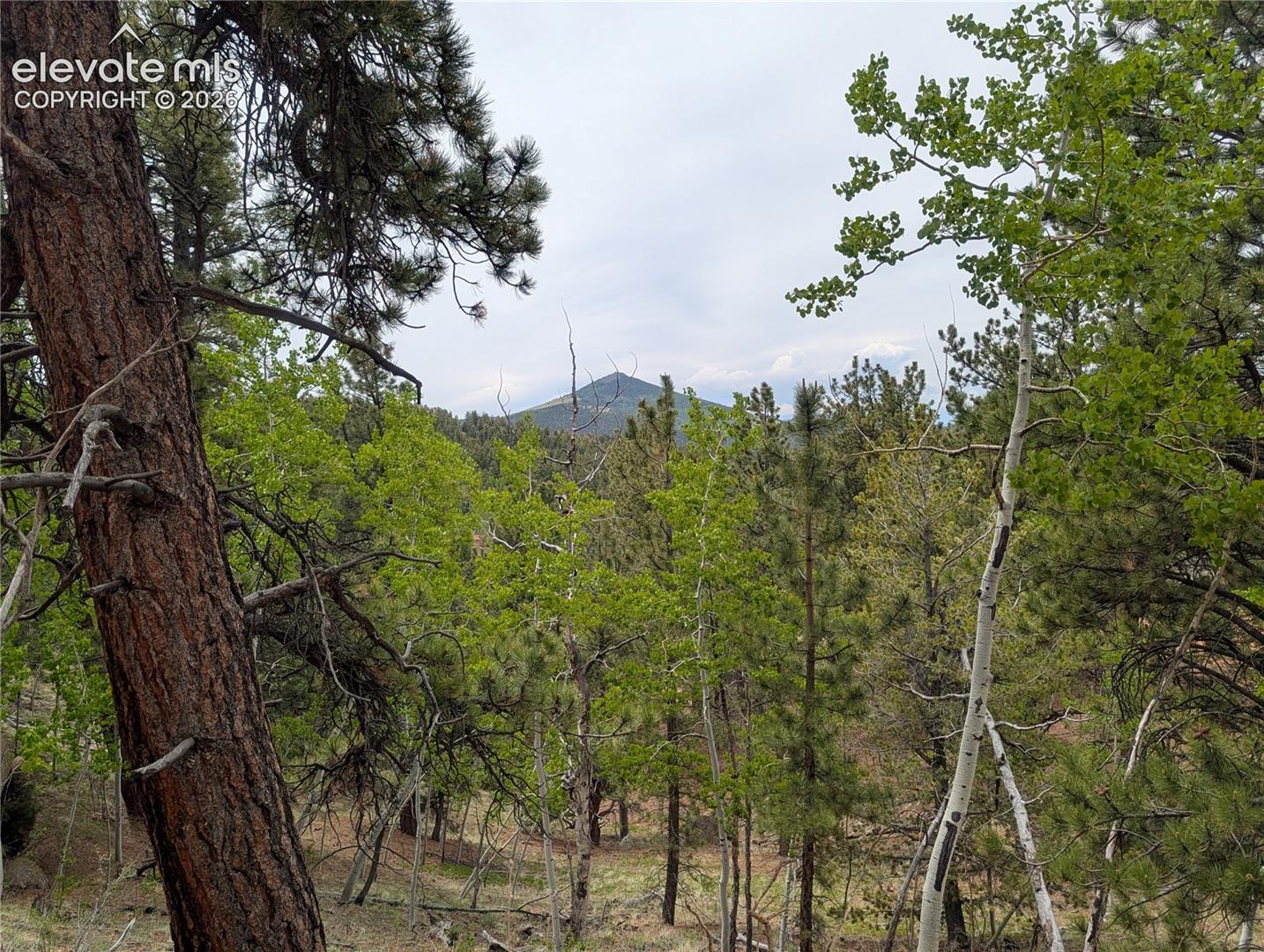 Photo 14 of 16 Princess Lane, Cripple Creek