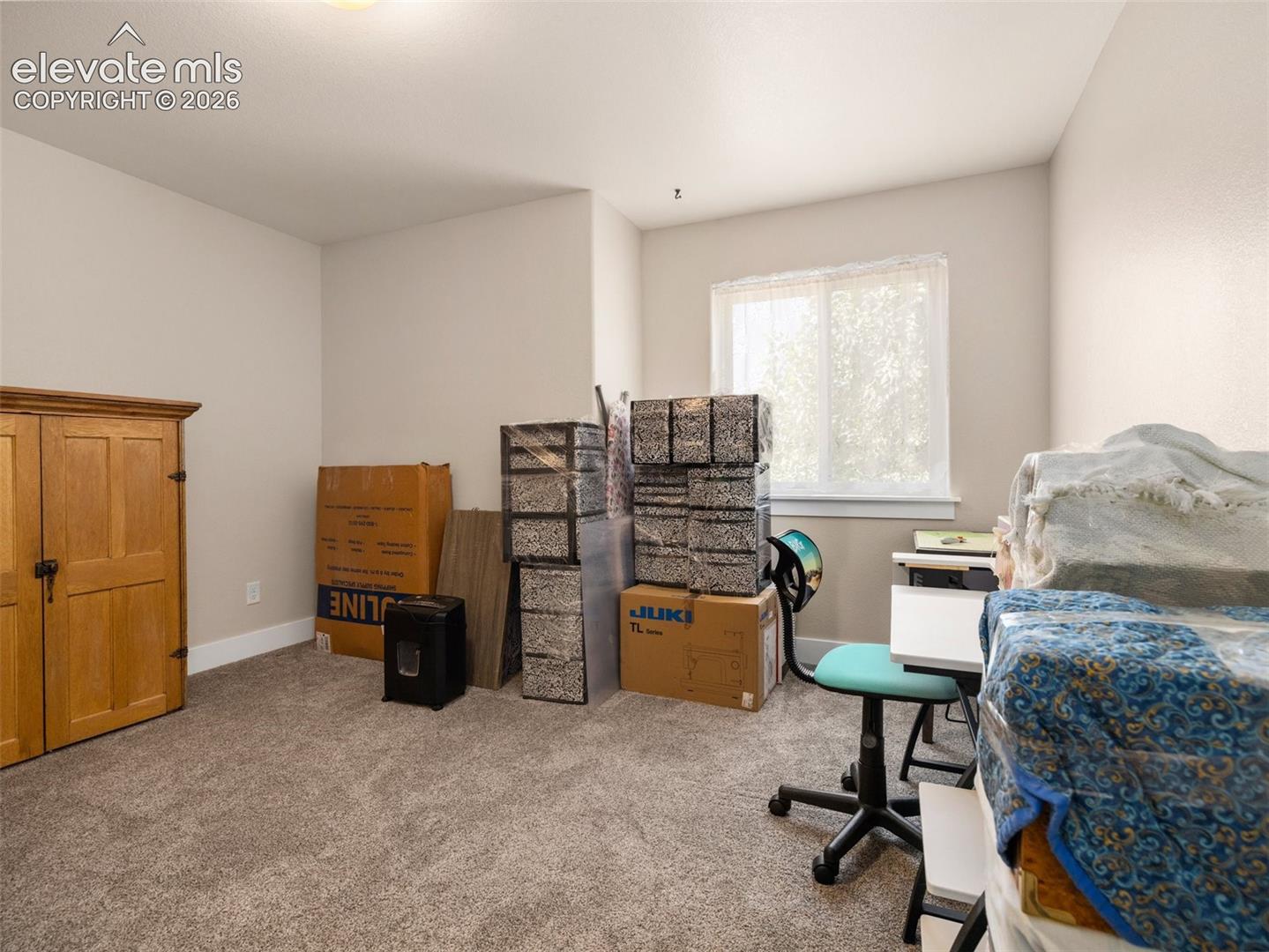 Carpeted room with a window featuring white trim and a neutral paint palette