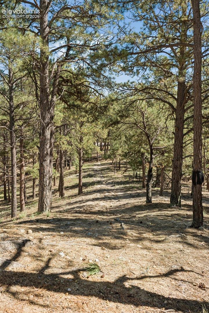 Photo 37 of 17170 Lodgepole Road, Peyton
