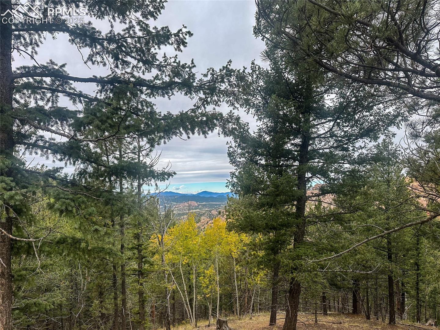 Photo 16 of 599 Dandy Jim Drive, Cripple Creek