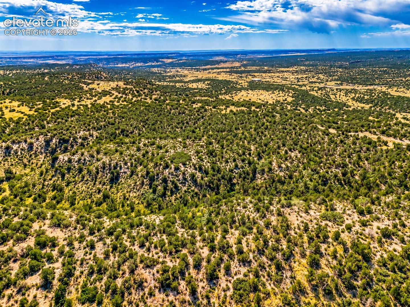 Beautiful natural setting featuring mature juniper trees, native grasses, and gently rolling terrain beneath Colorado's brilliant blue skies.

