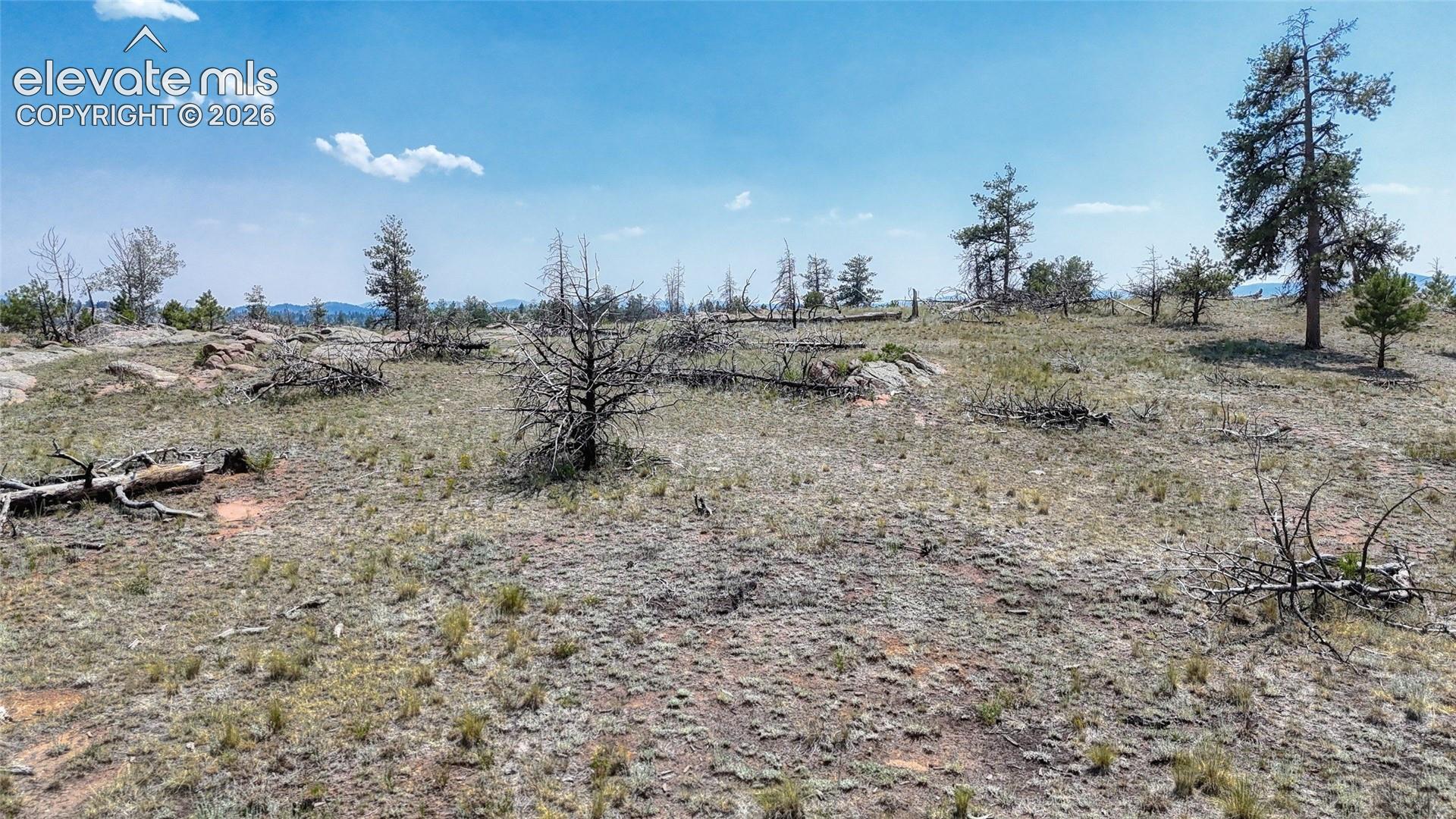 617 Chateau Vi, Florissant, CO 80816