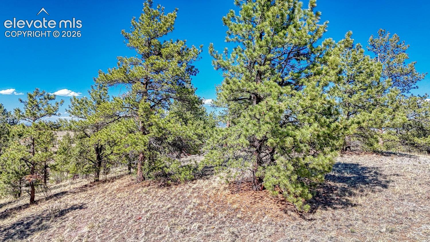 Photo 16 of Lot 11 Highway 9, Hartsel