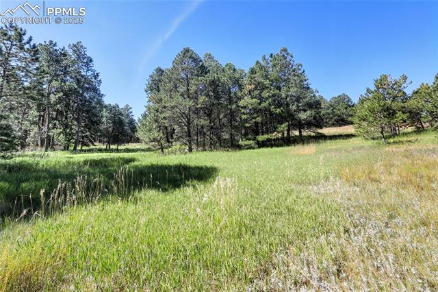 Photo 6 of 18400 Black Squirrel Road, Colorado Springs