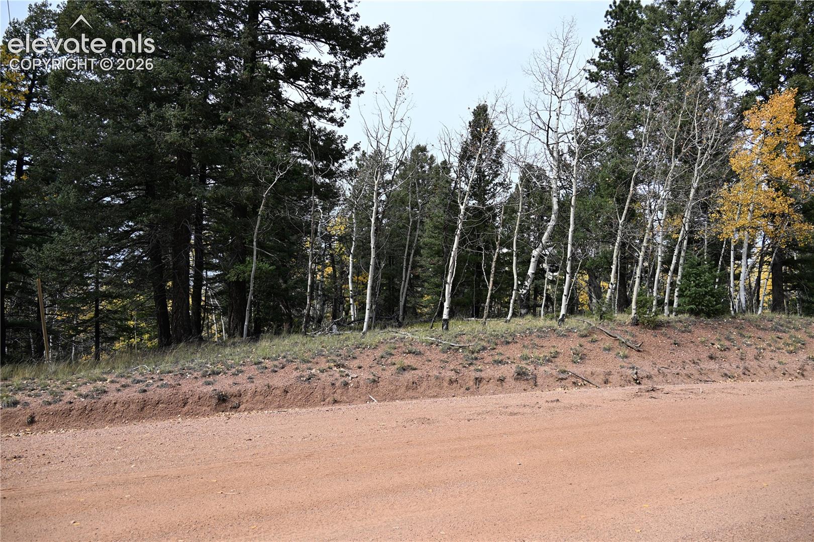 Wooded parcel featuring mature pine and aspen trees with natural ground cover