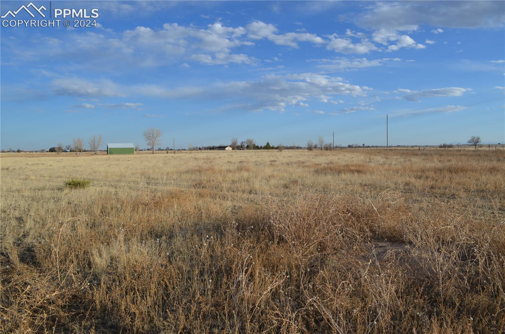 View of local wilderness with a rural view