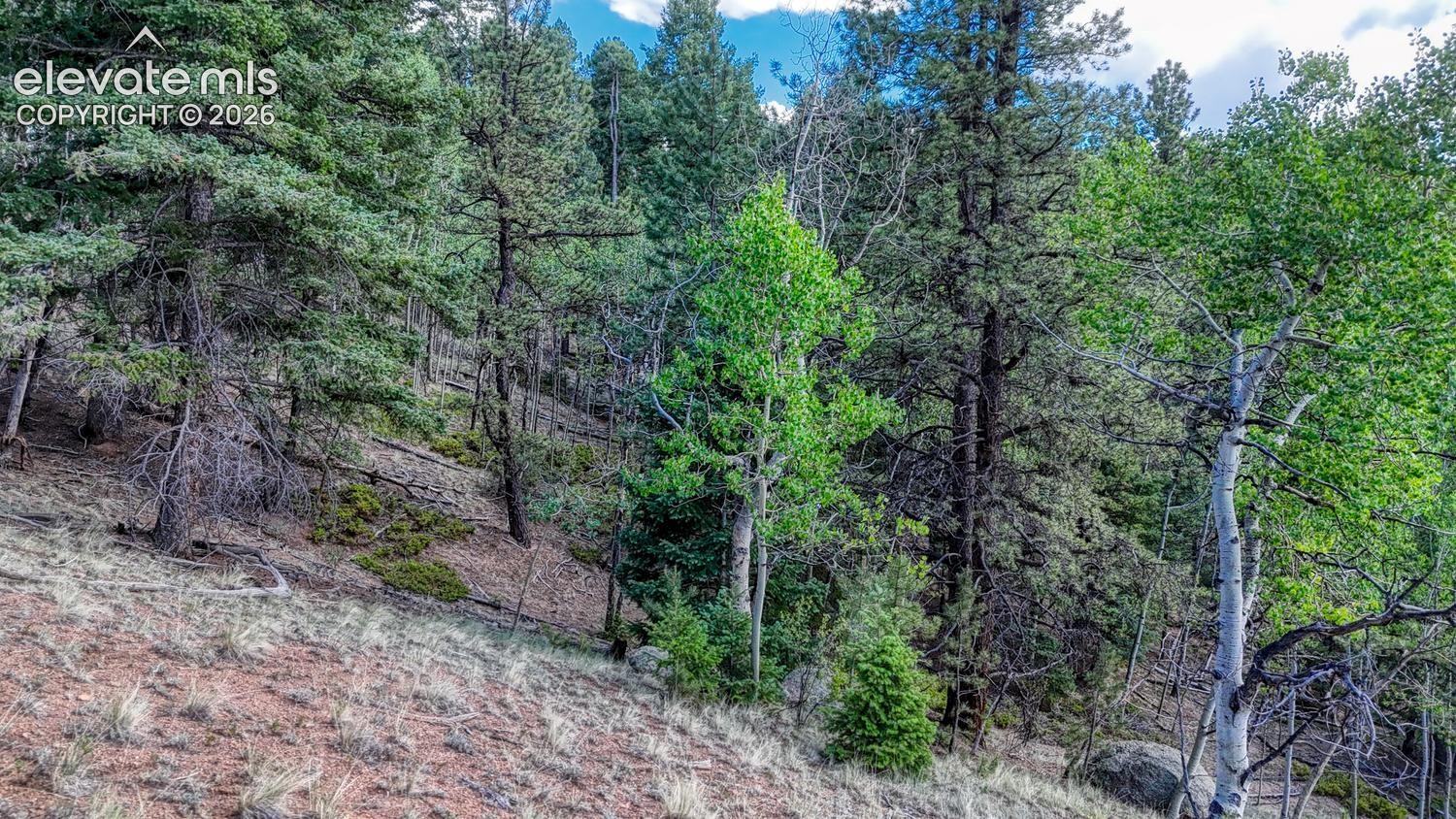 Photo 13 of 783 Bennett Drive, Cripple Creek