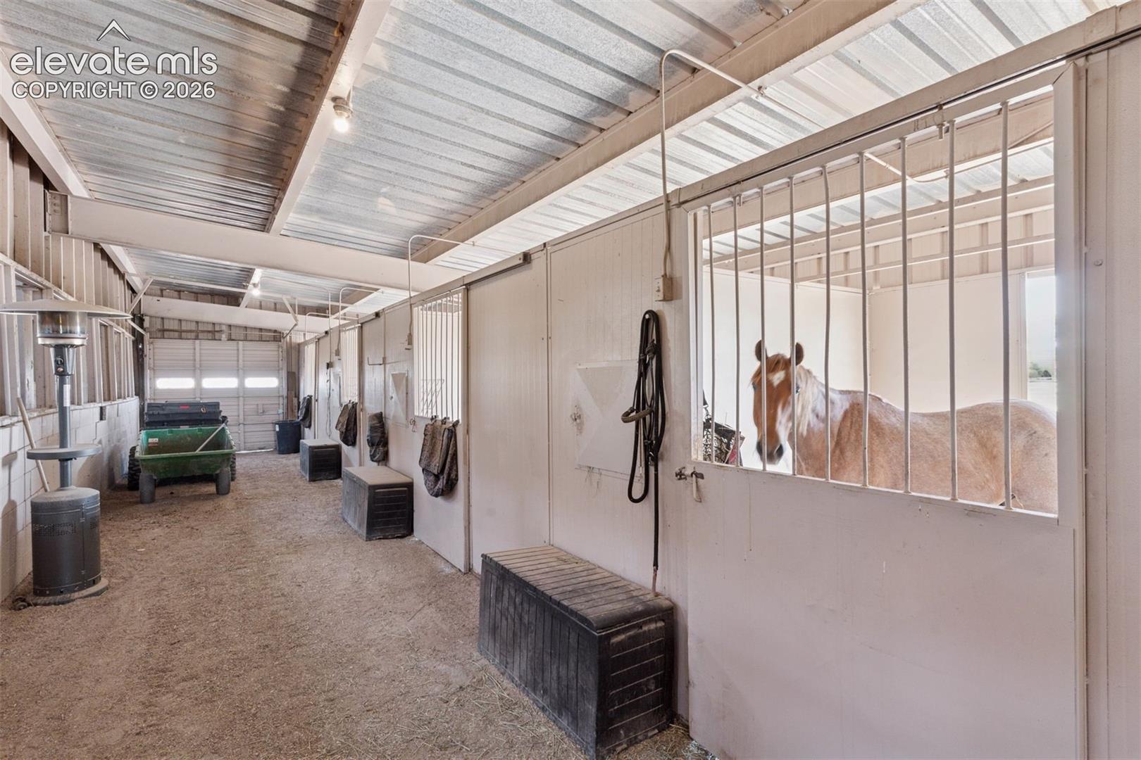 Interior of Arena Stalls