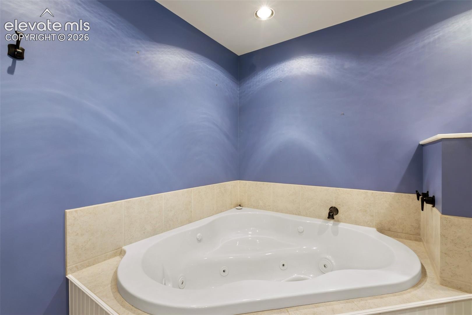 Spa Tub-Basement