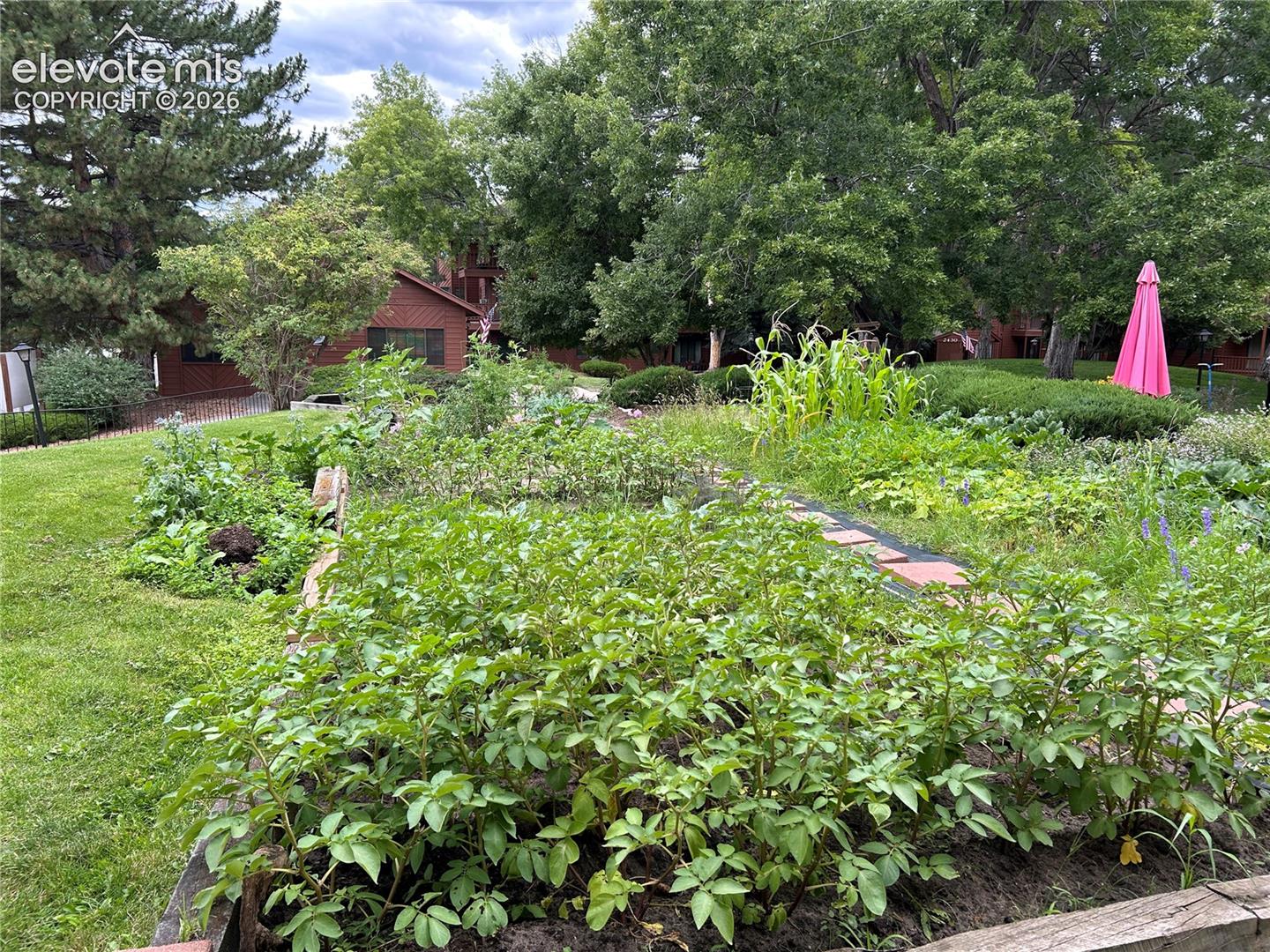 Beautiful community garden