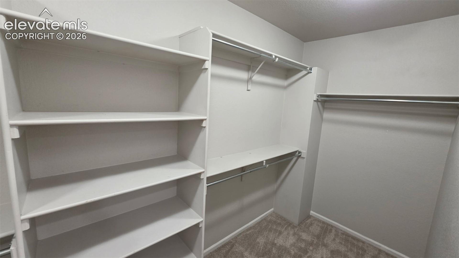 Walk-in storage space featuring built-in shelving units, multiple metal clothing rods, and wall-to-wall carpeting