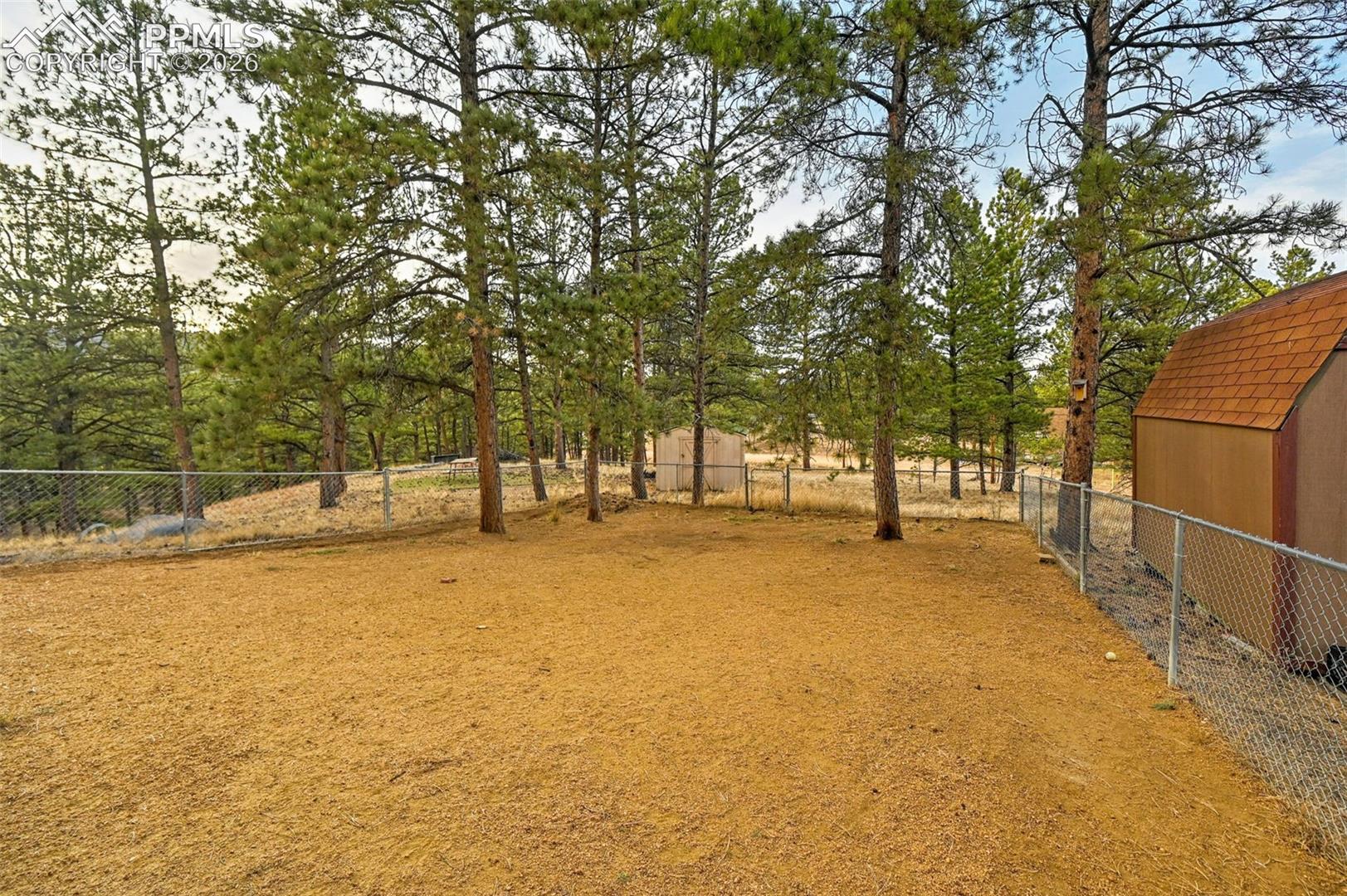 Back yard
