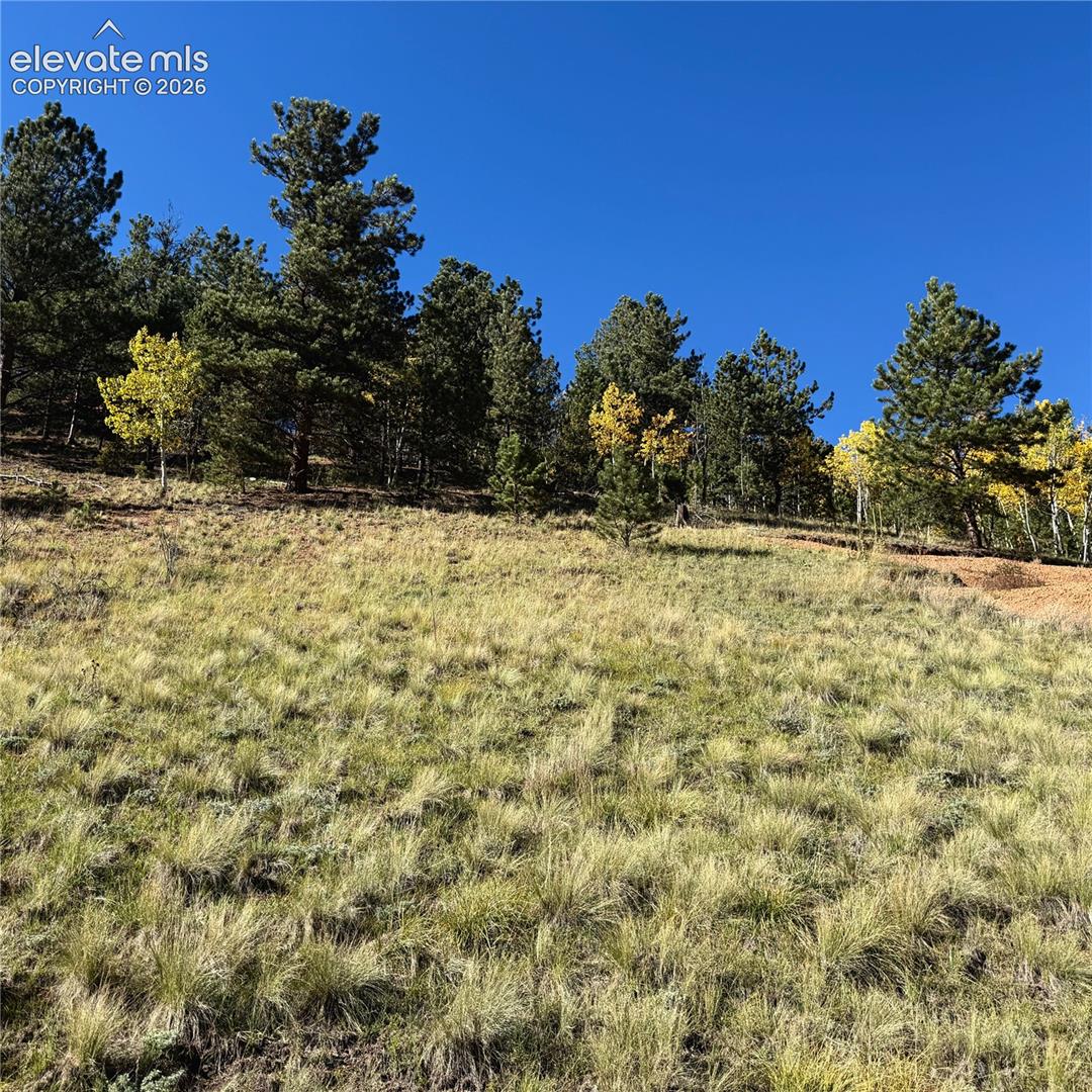Photo 10 of 200 Beaver Pond Road, Divide