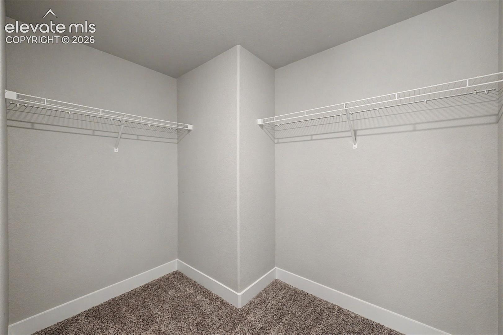 Walk-in closet featuring light gray walls, white baseboards, and textured carpeting