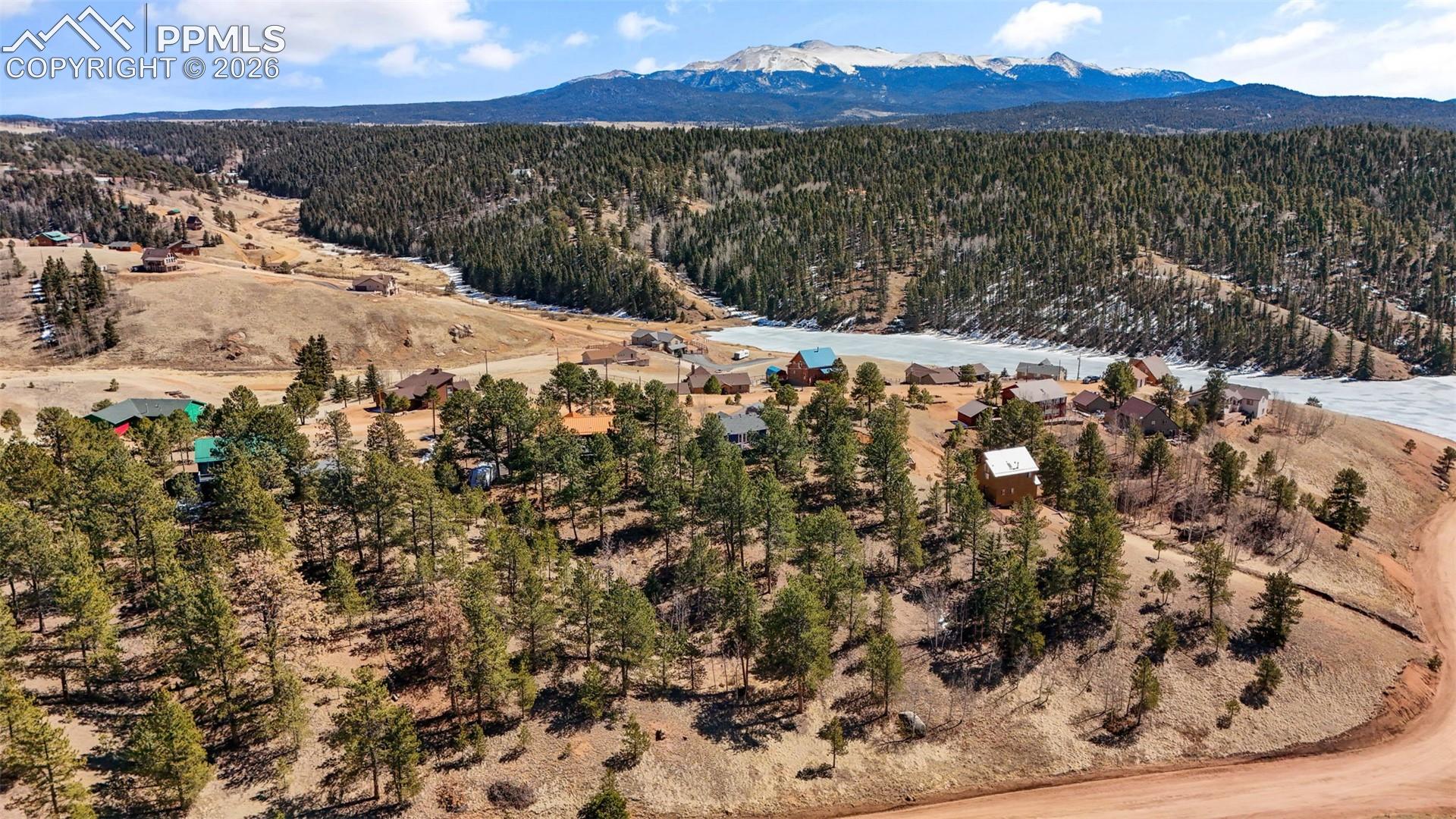 487 Maroon Lake Cir, Divide, CO 80814