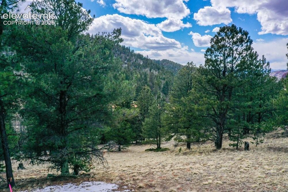 Property view of mountains featuring a view of trees