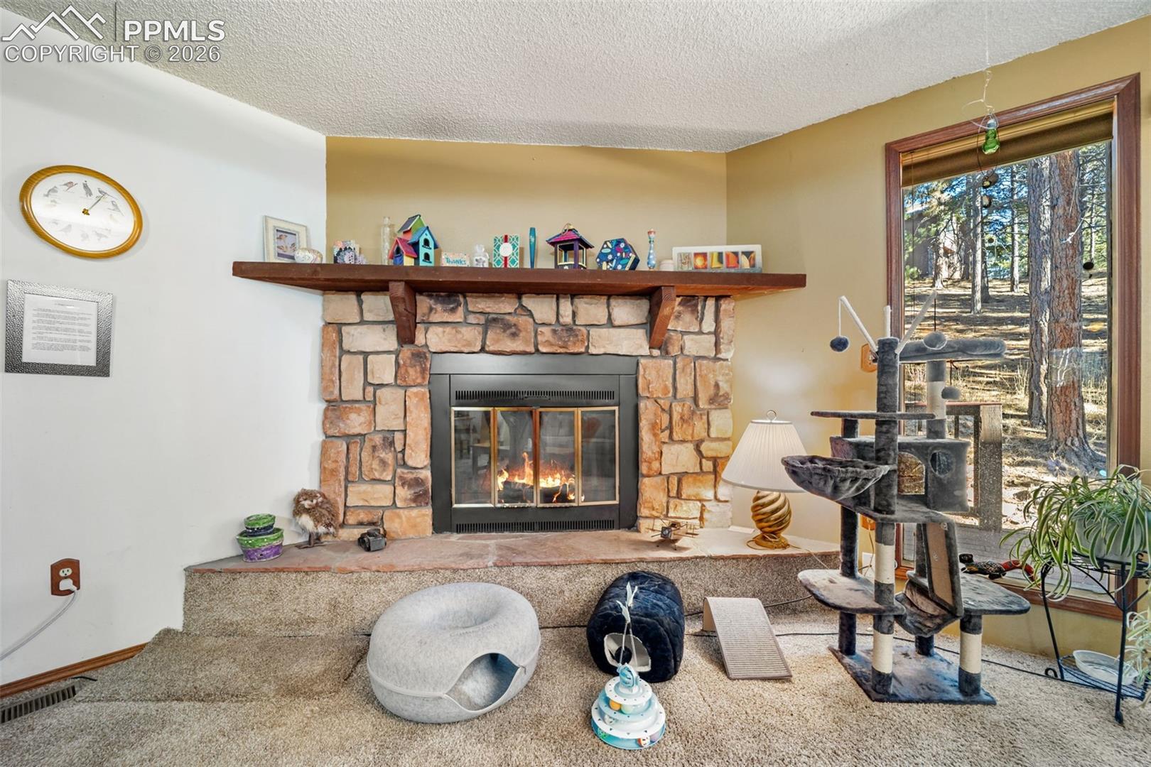 Photo 12 of 554 Manor Court #C, Woodland Park