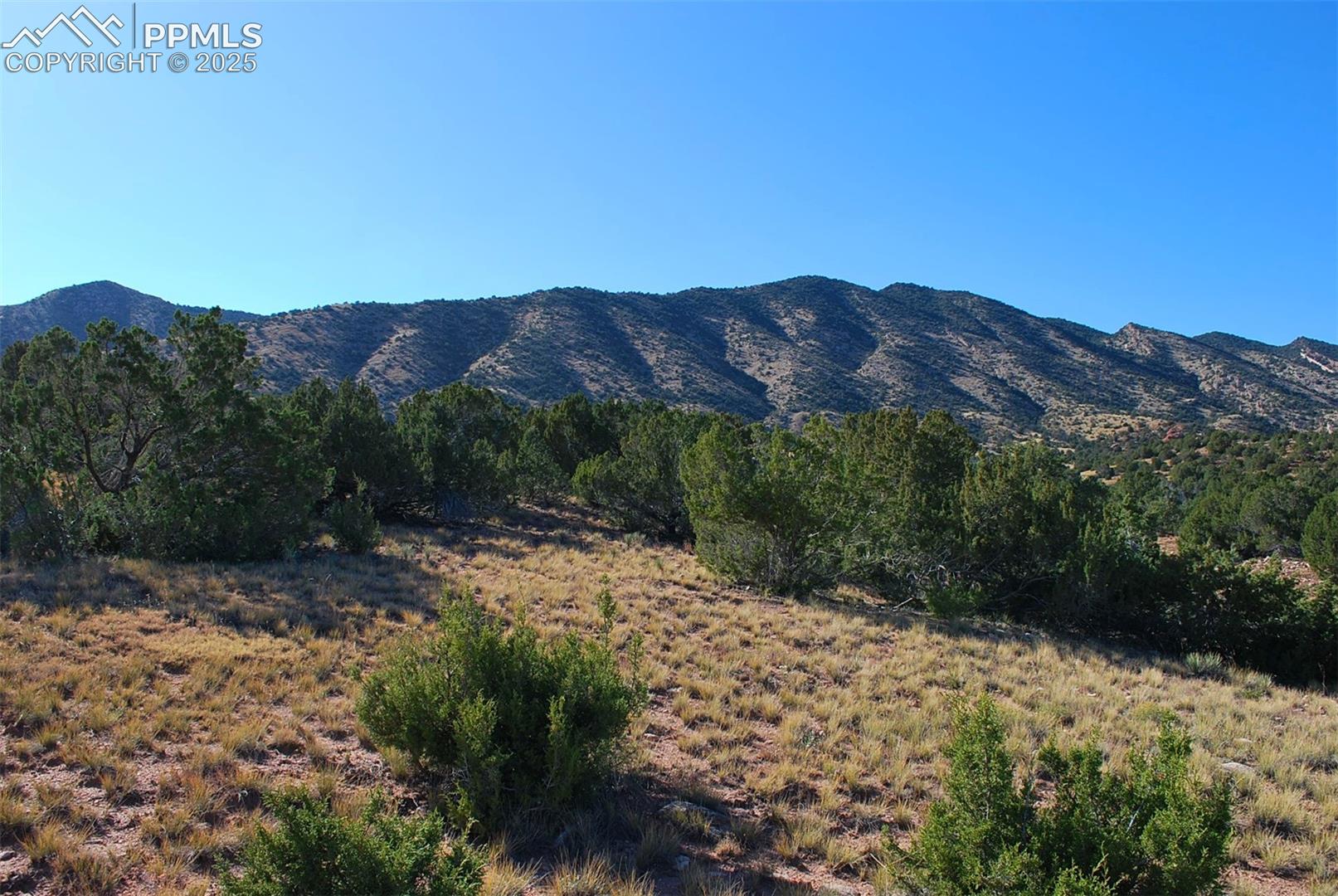 Photo 17 of 601 County Road 69, Canon City