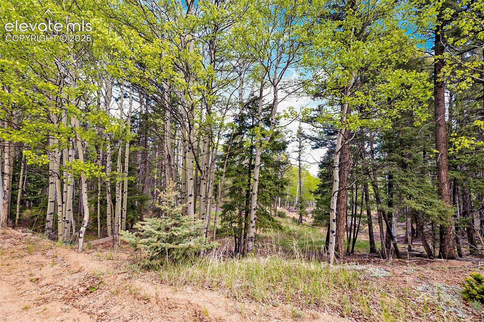 Photo 27 of 714 Will Stutley Drive, Divide