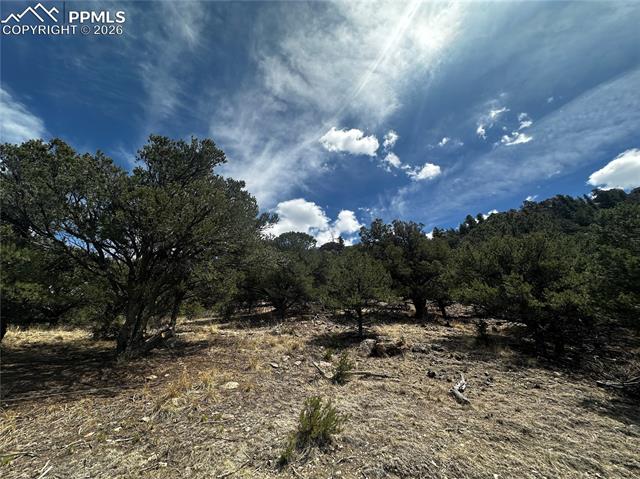 site view