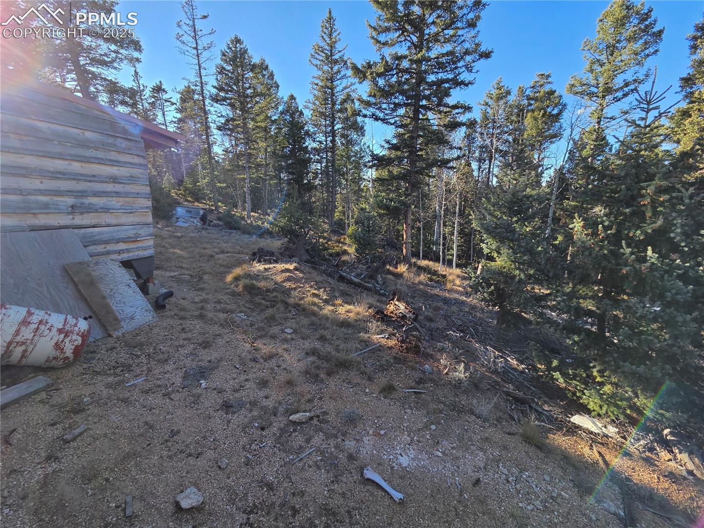 Photo 8 of 1434 Blue Mesa Drive, Divide