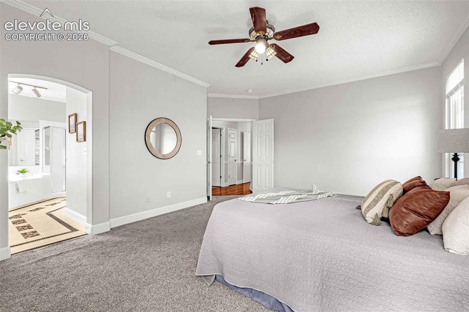 Photo 17 of 9135 Chetwood Drive, Colorado Springs