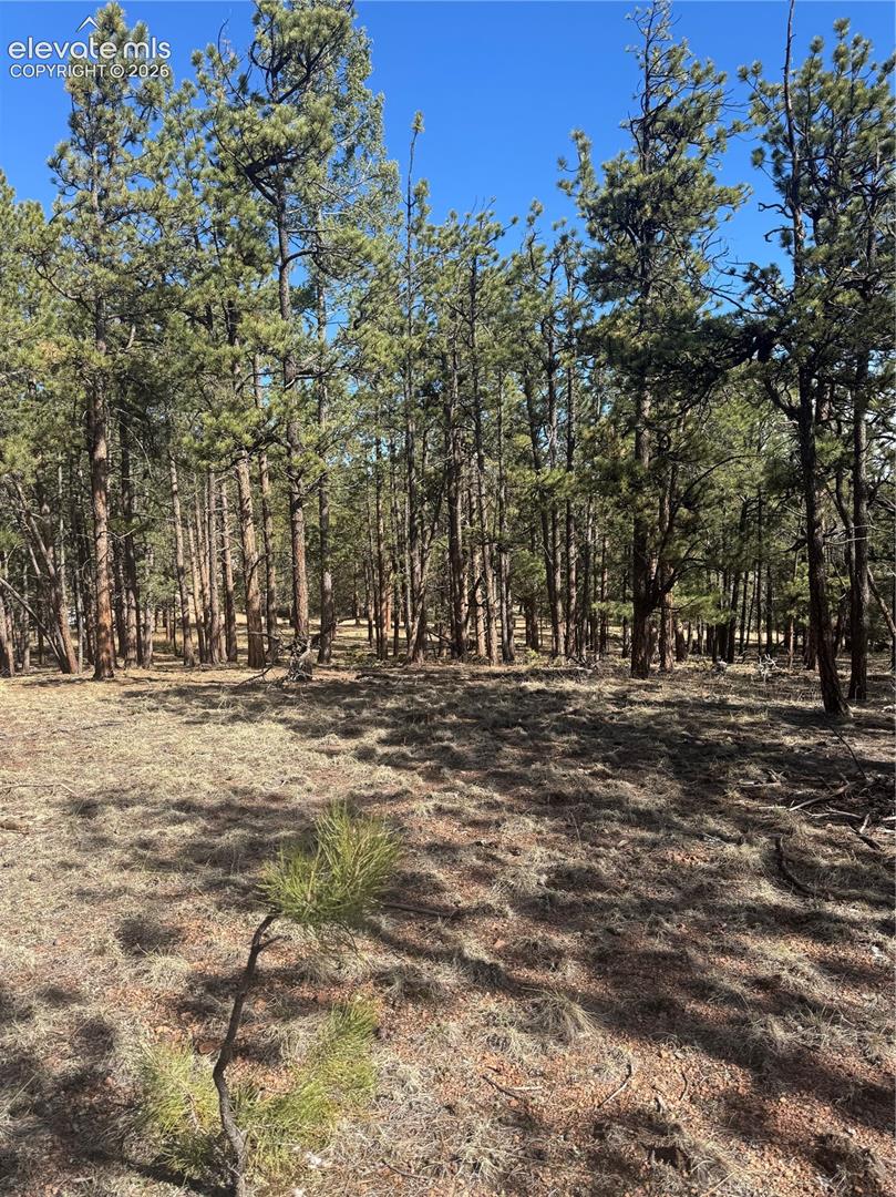 642 Matterhorn Dr, Florissant, CO 80816