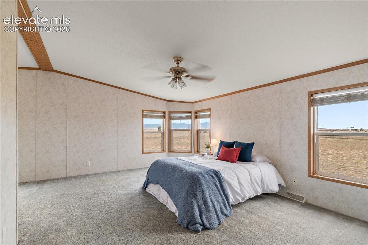 Spacious room featuring carpeting, bay windows, a ceiling fan, and multiple windows with blinds