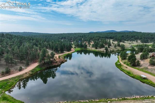 39 Reed Dr, Florissant, CO 80816