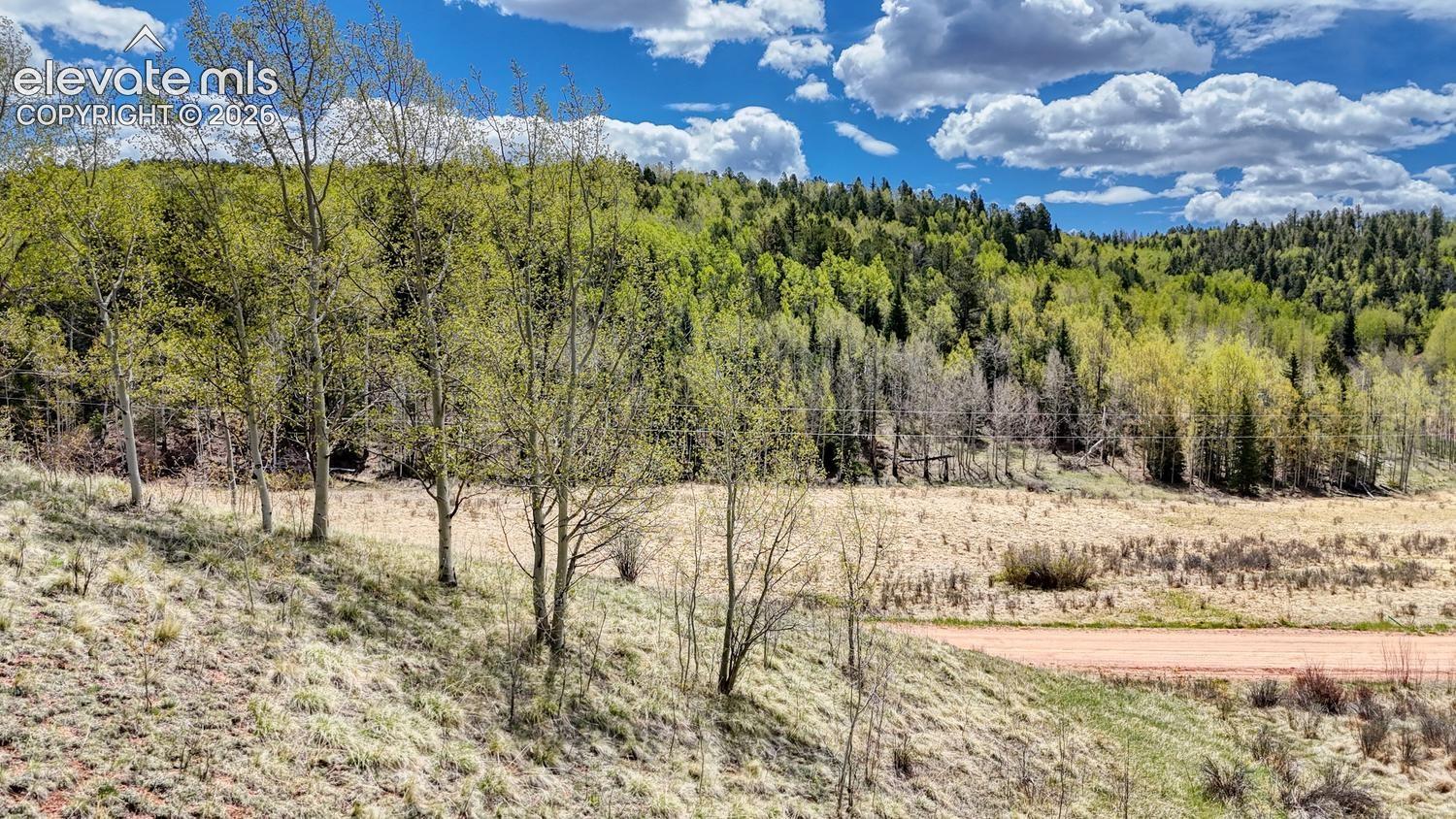 Photo 10 of 2031 Gold King Drive, Cripple Creek
