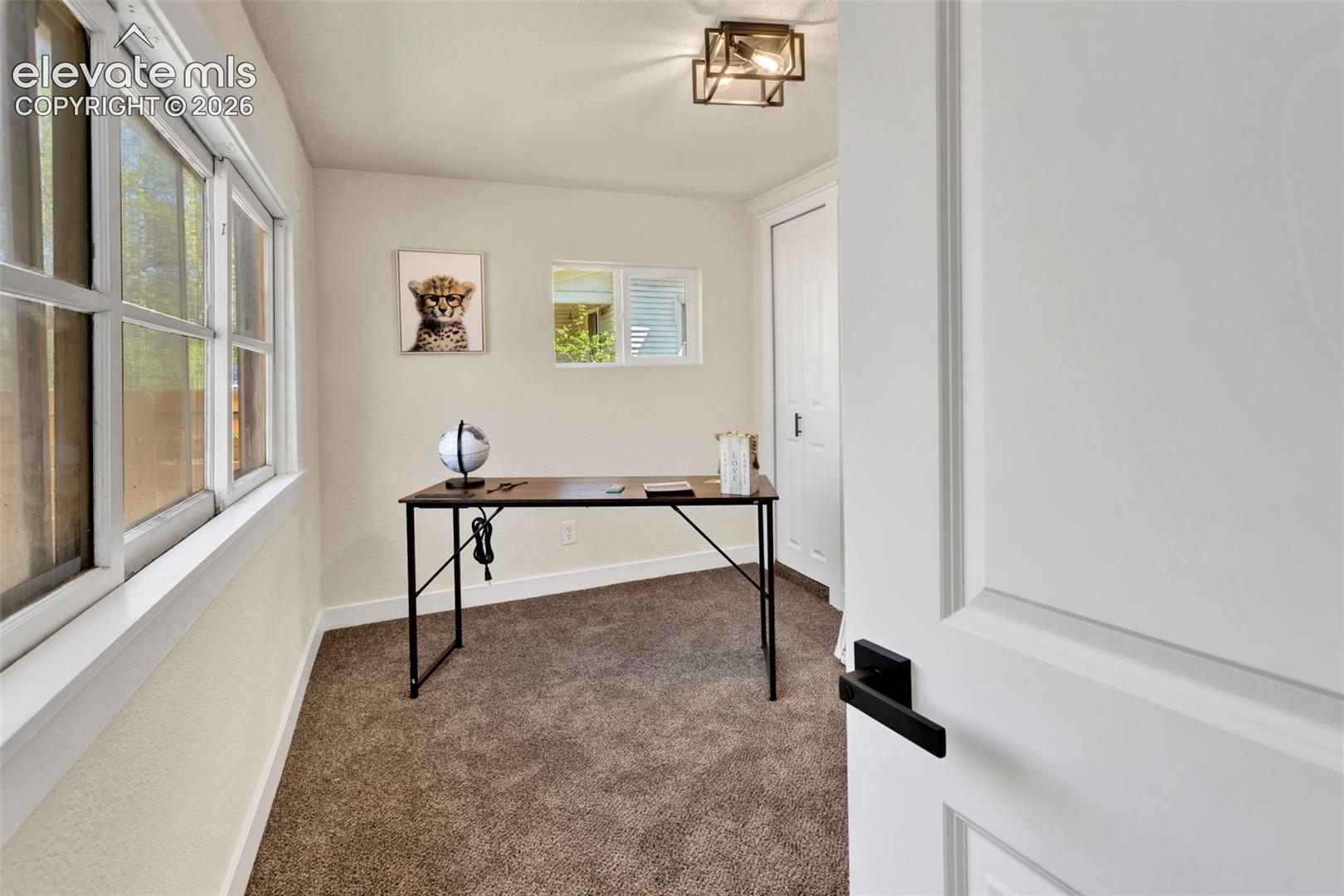 Interior space featuring a window wall, carpet flooring, a flush-mount ceiling light fixture, and a white paneled door with black hardware