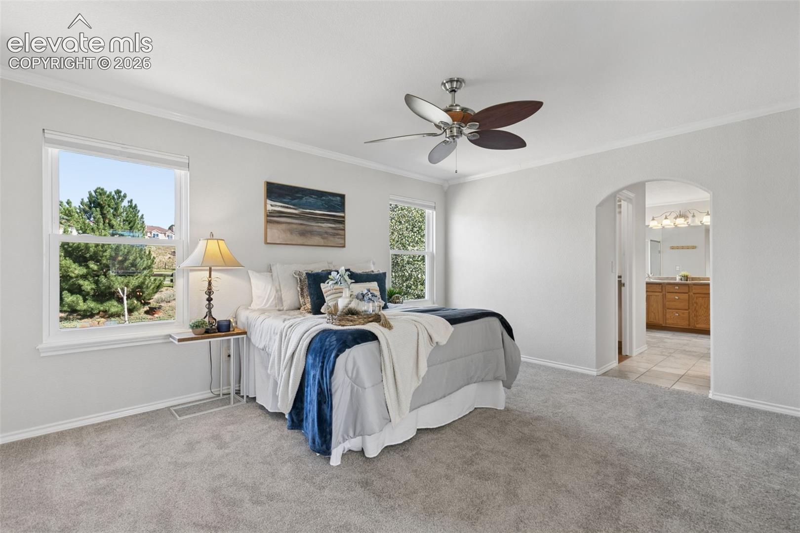 Photo 25 of 1622 Lookout Springs Drive, Colorado Springs