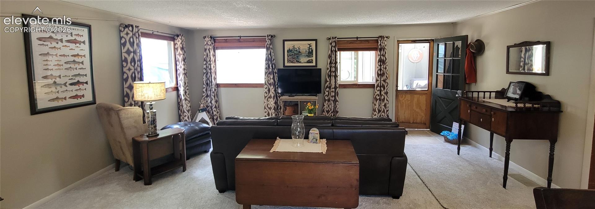 Carpeted flooring extending through living space, multiple windows with wood trim, and a split Dutch door