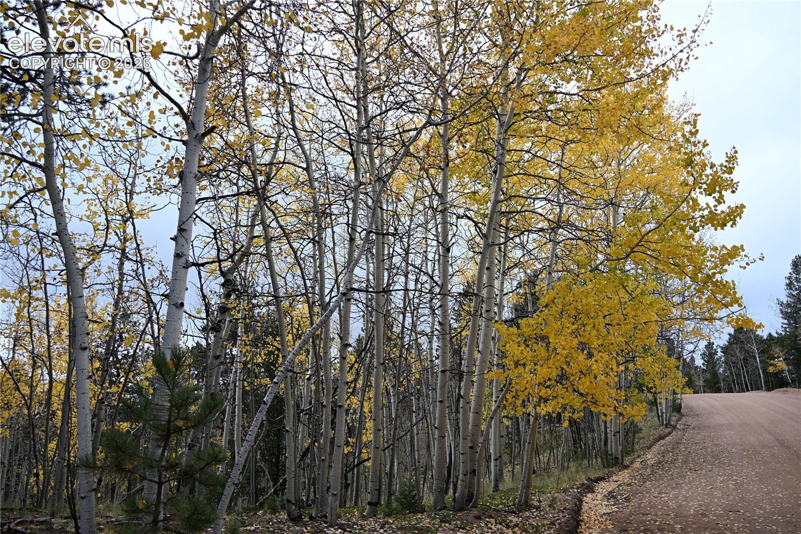 Photo 7 of 1020 Princess Road, Cripple Creek