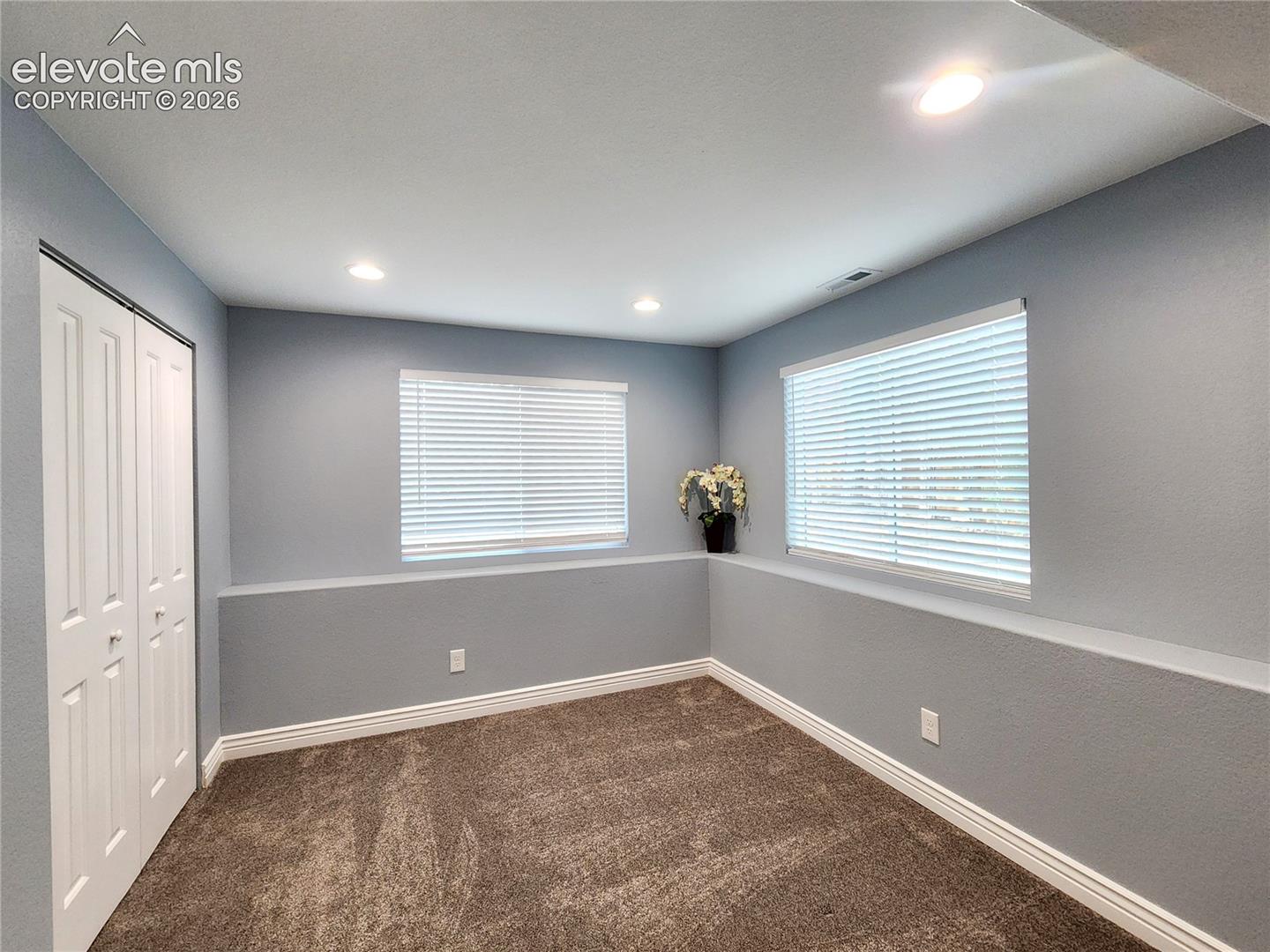 Lower Level Bedroom