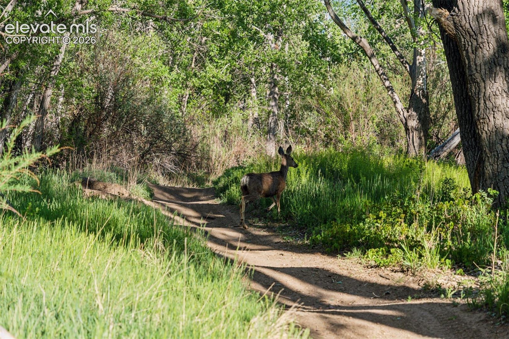 Encounters like this are part of daily life—peaceful trails winding through the cottonwoods with frequent wildlife sightings