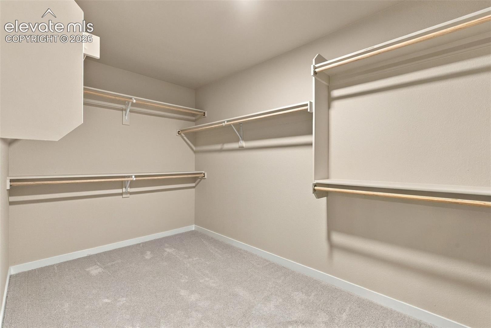 Storage area featuring neutral carpeting and multi-level shelving with integrated hanging rods