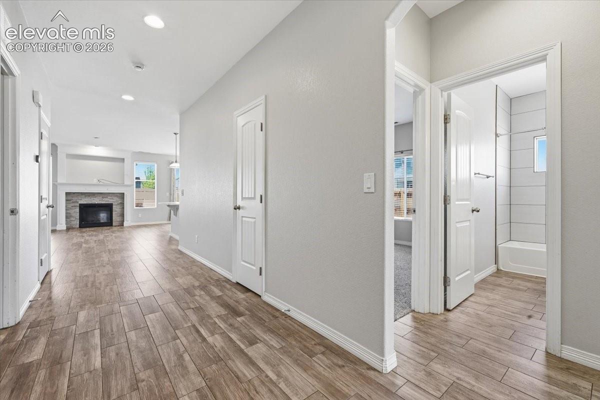 Photo 10 of 9084 Pennycress Drive, Colorado Springs