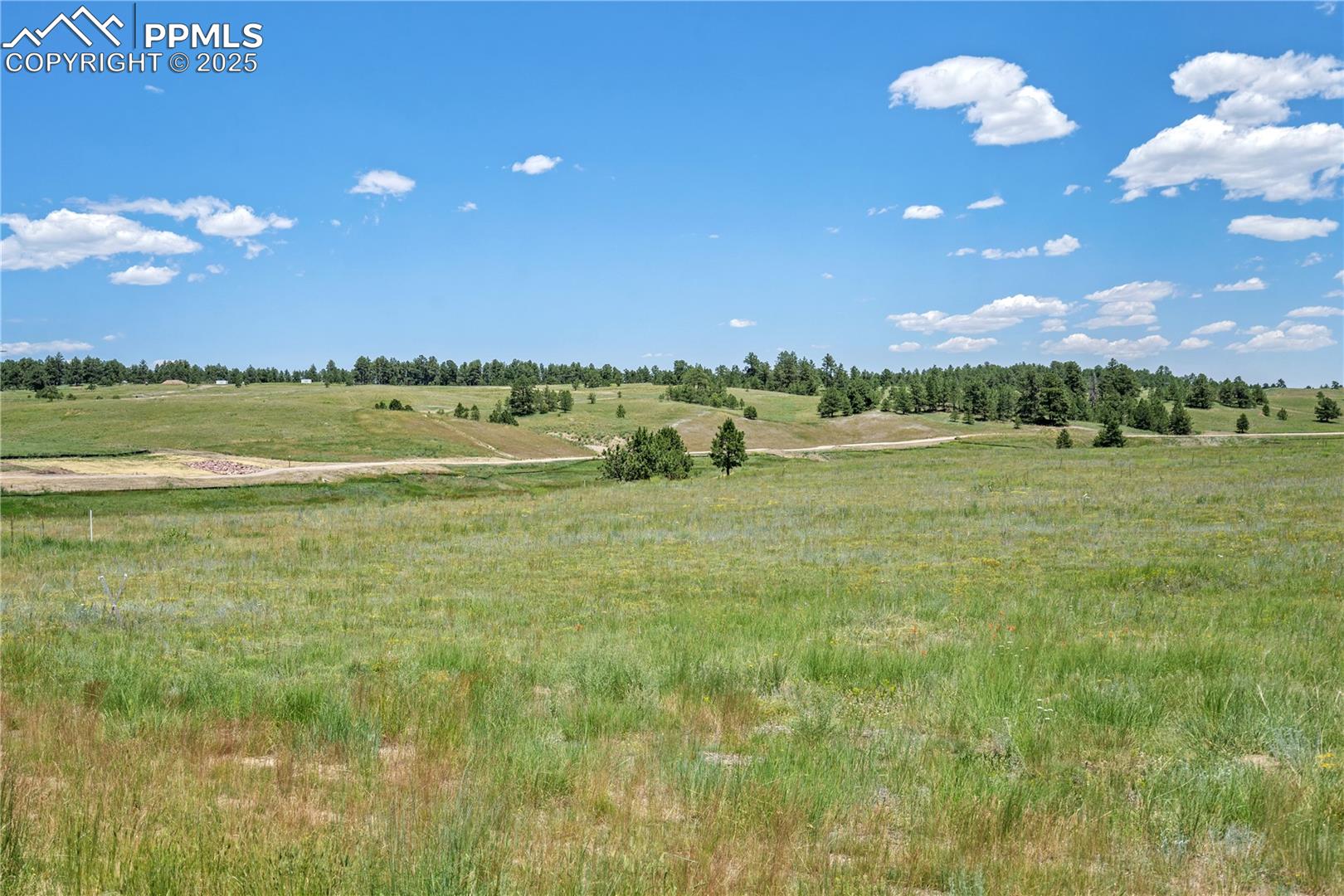 Photo 15 of 10698 Alamar Way, Colorado Springs