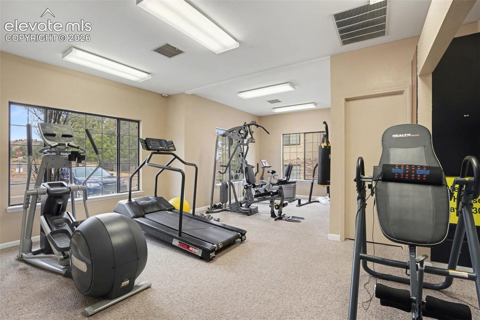 Fitness space featuring neutral wall-to-wall carpeting, multiple overhead fluorescent light fixtures, and windows with grid-patterned glass