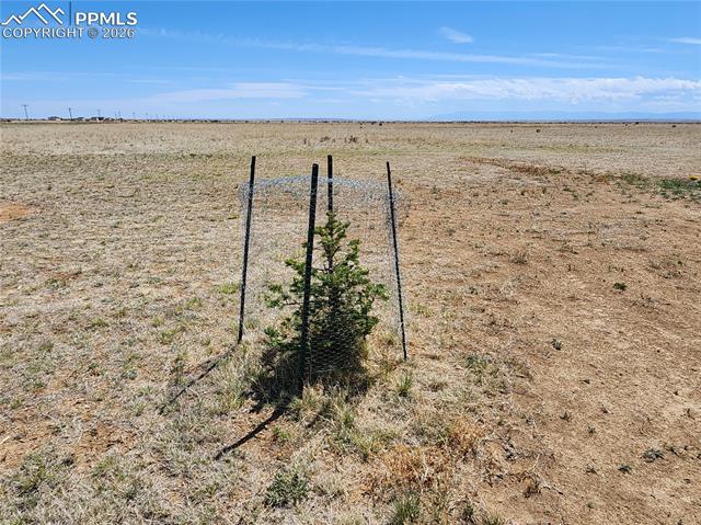 Photo 17 of 12830 Milne Road, Colorado Springs