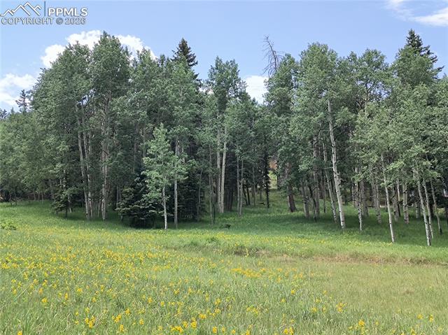 0 Will Scarlet Dr, Divide, CO 80814