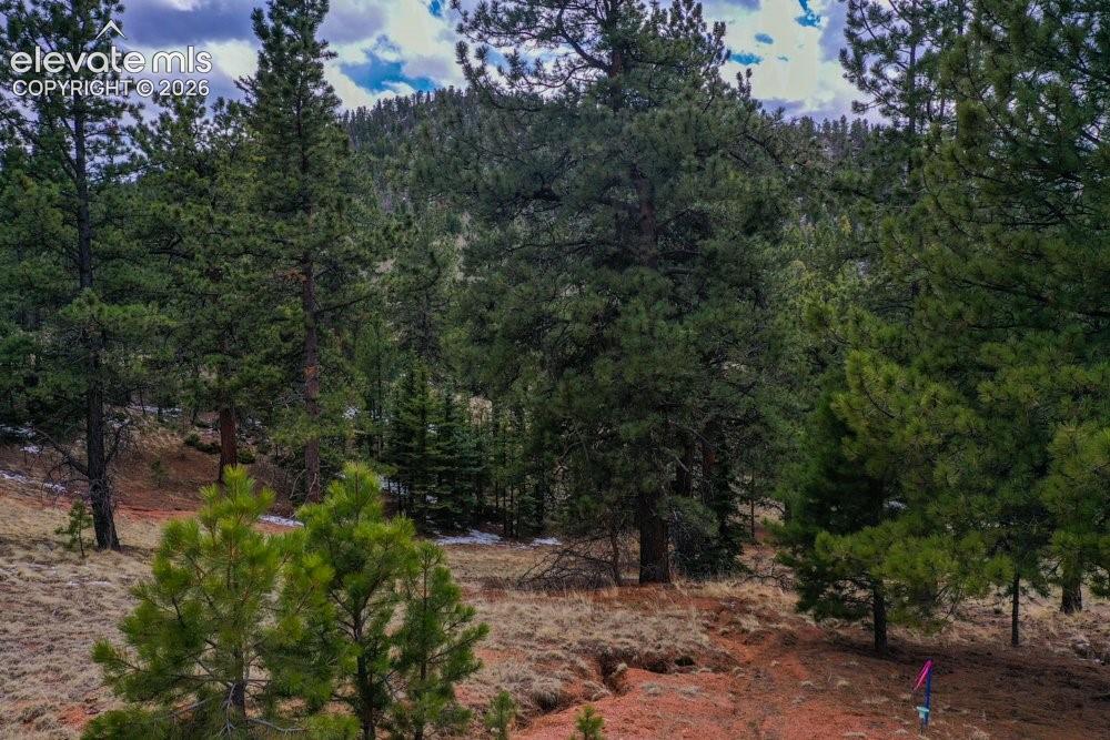 View of nature featuring a forest view