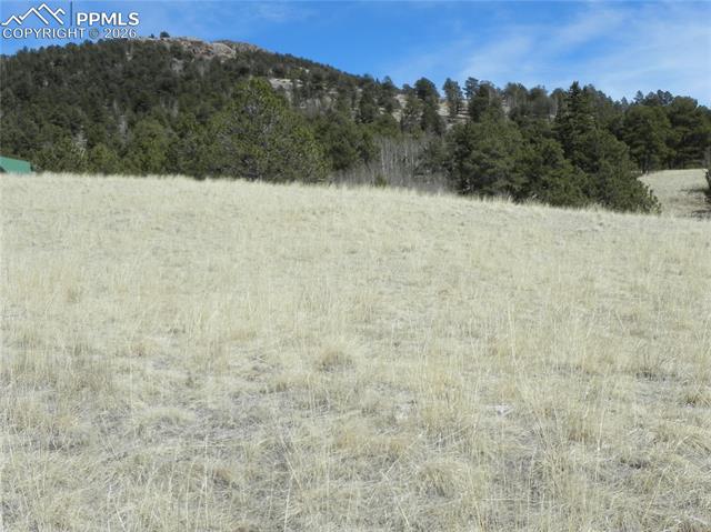 Photo 7 of 1087 Monarch Drive, Cripple Creek