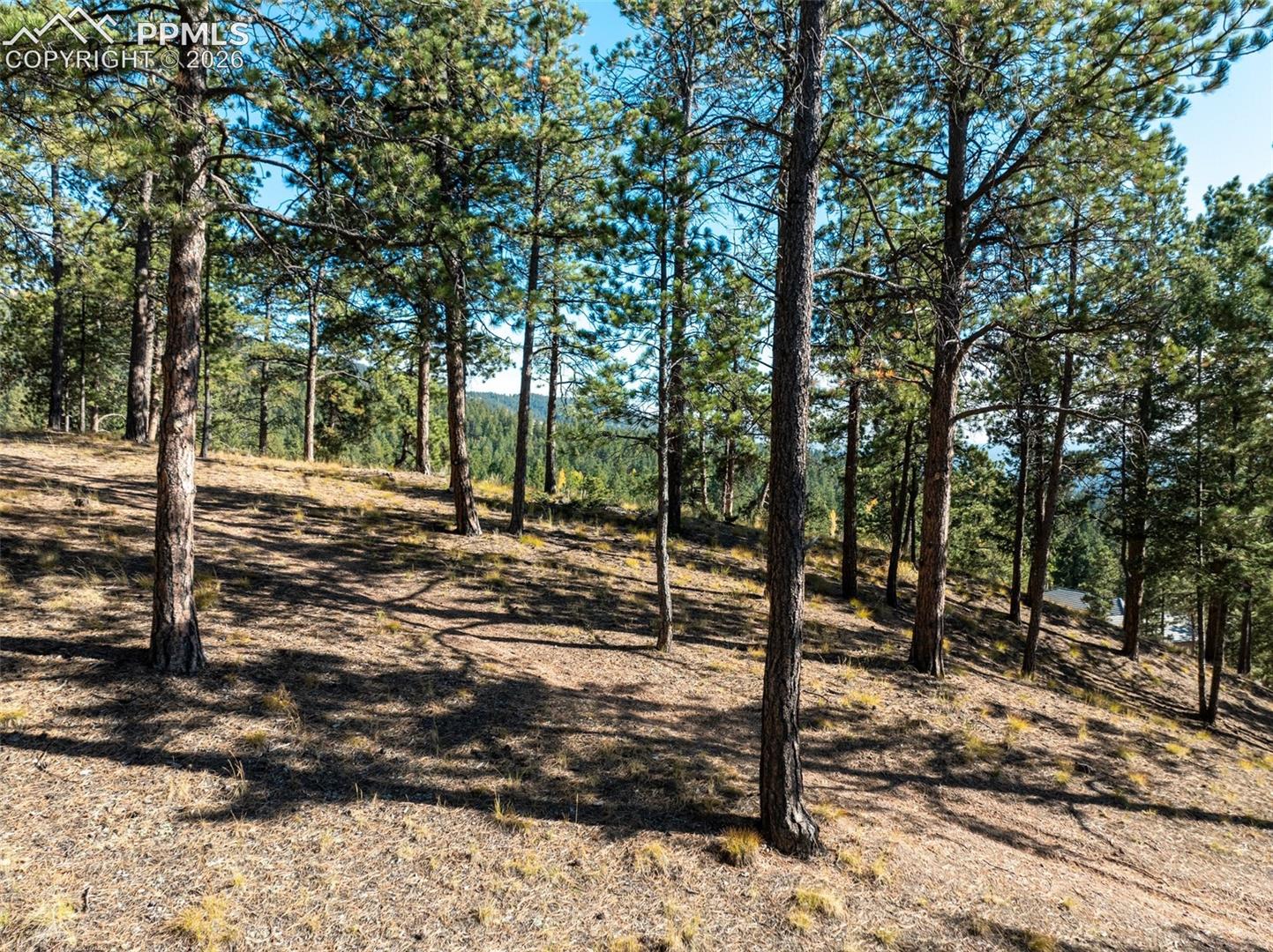 Photo 13 of 270 Thunder Ridge Drive, Woodland Park