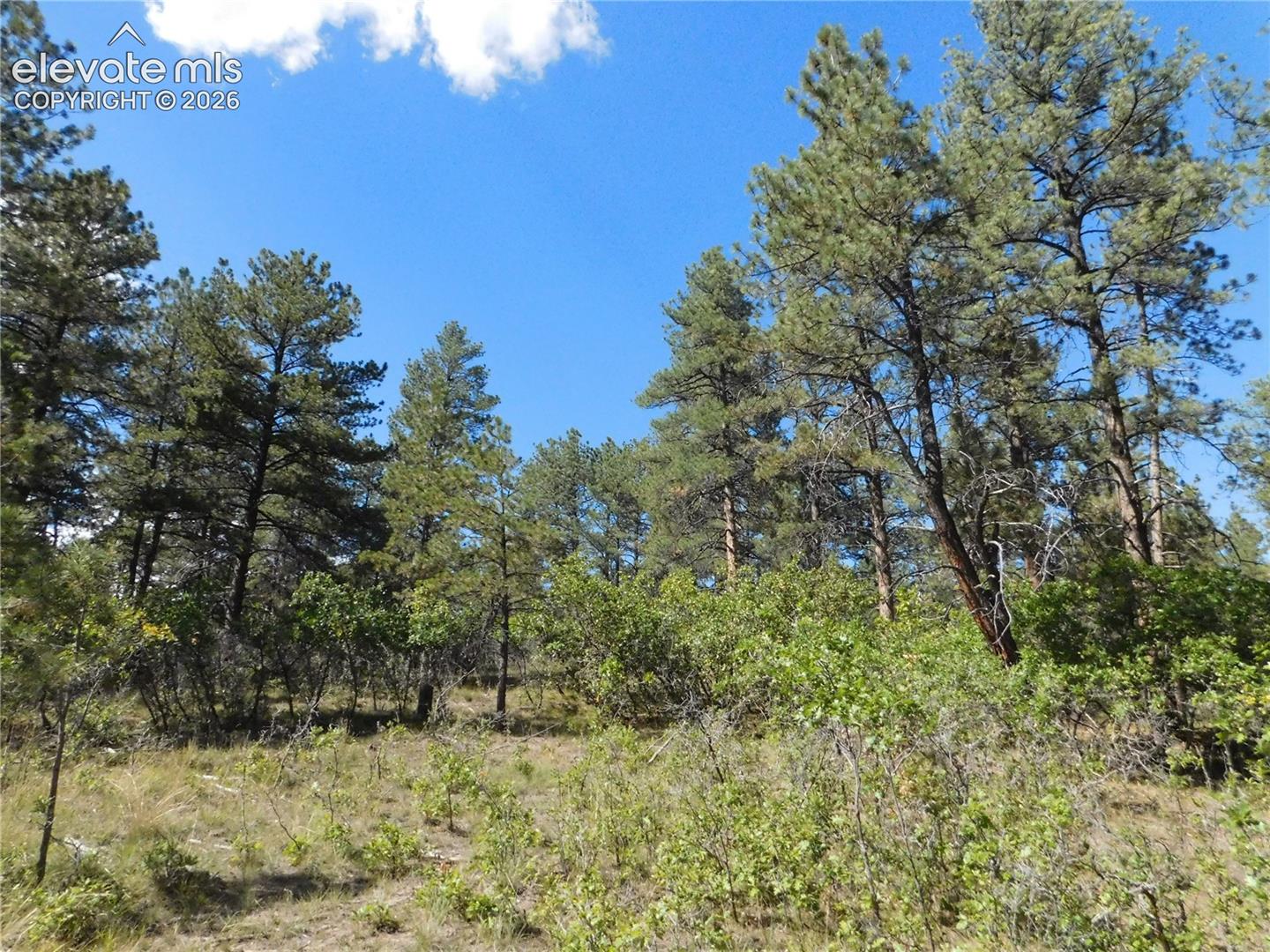 Photo 10 of 773 Copper Fox Place, Larkspur
